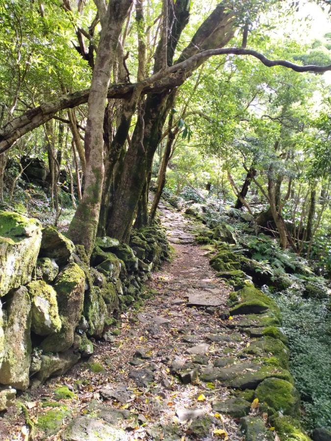 Alojamento Local M&I Lajes das Flores Exteriör bild